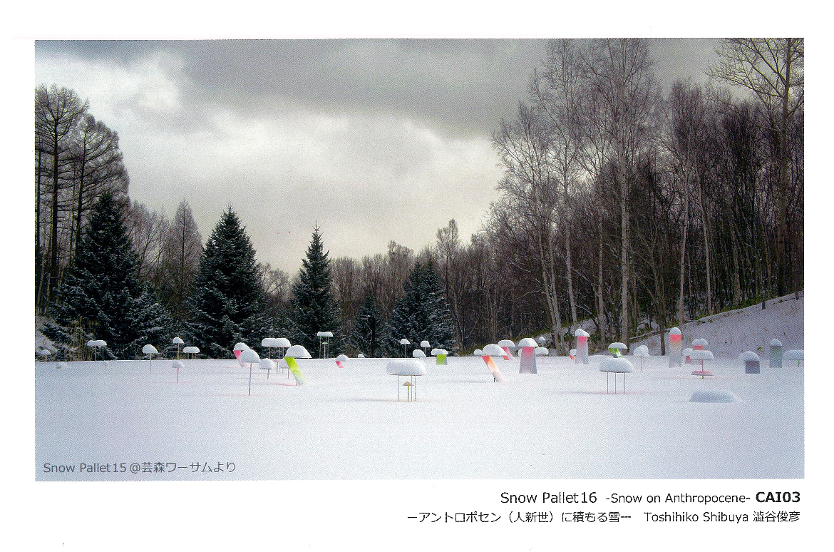 澁谷俊彦学校長『Snow pallet 16 -アントロポセン（人新世）に積もる雪-』がCAI03/CAI現代美術研究所にて開催中！ |  専門学校札幌デザイナー学院のニュースサイト